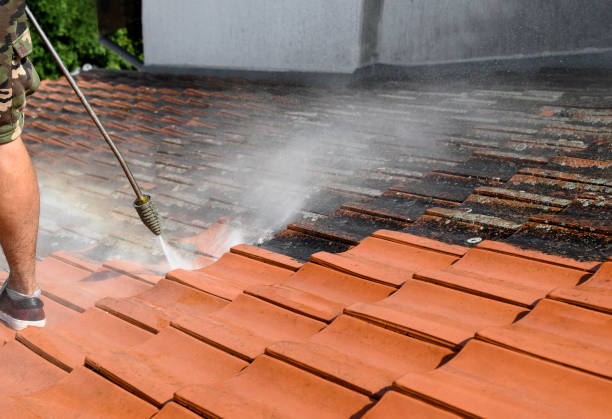 Best Exterior Home Cleaning  in Bardmoor, FL