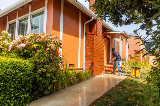 Best Roof Pressure Washing  in Bardmoor, FL
