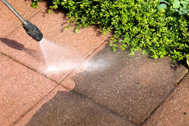 Best Pressure Washing Near Me  in Bardmoor, FL